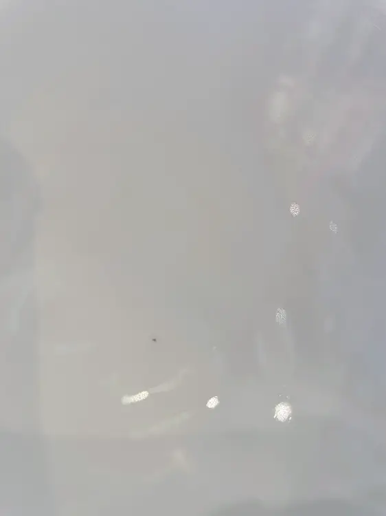 KPM Berlin Urbino Sauciere Bild 2