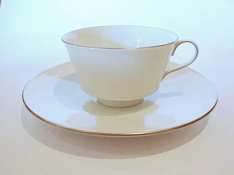 Urania Teetasse komplett Platinkante