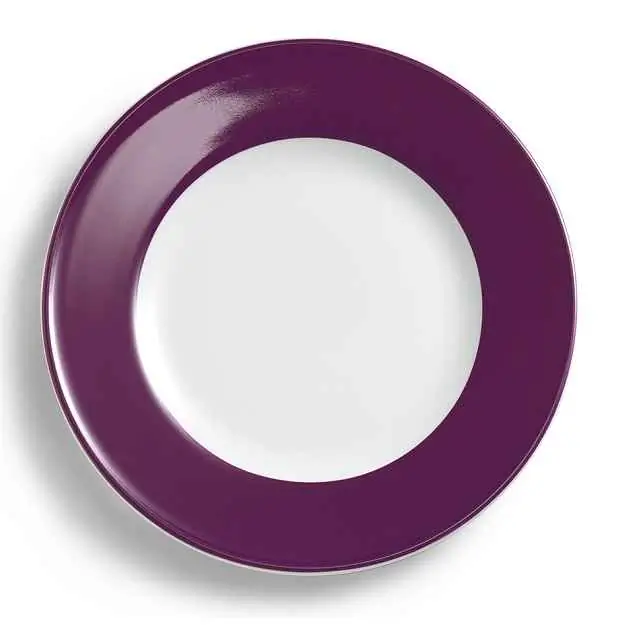 Dibbern Teller flach 26 cm Fahne PFLAUME Bild