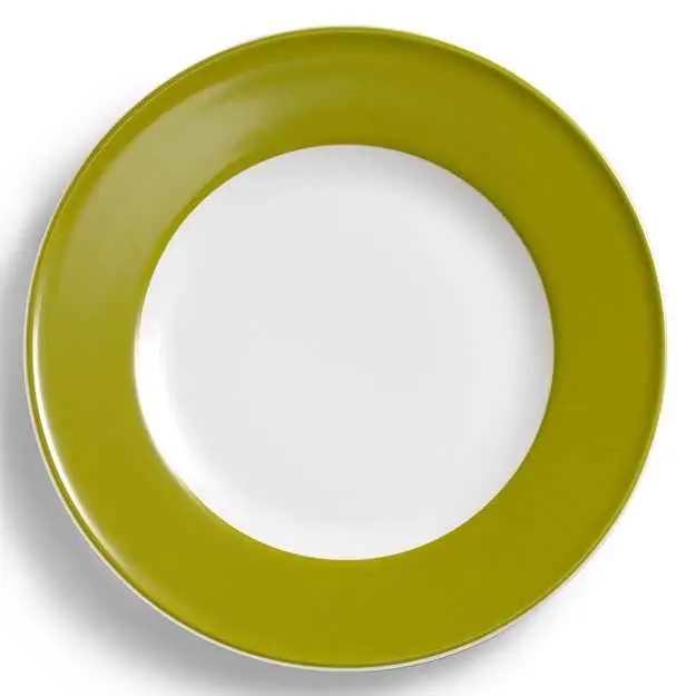 Dibbern Teller flach 28 cm Fahne OLIV Bild