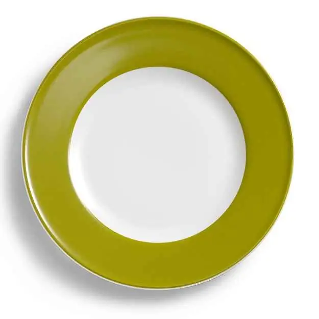 Dibbern Teller flach 26 cm Fahne OLIV Bild