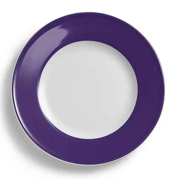 Dibbern Teller flach 26 cm Fahne VIOLETT Bild