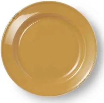 Teller flach 19 cm VOLLDEKOR BERNSTEIN