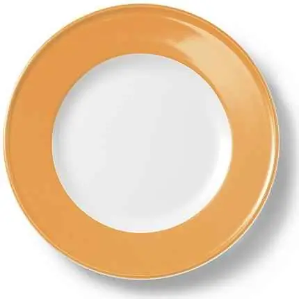 Dibbern Teller flach 21 cm Fahne BERNSTEIN Bild