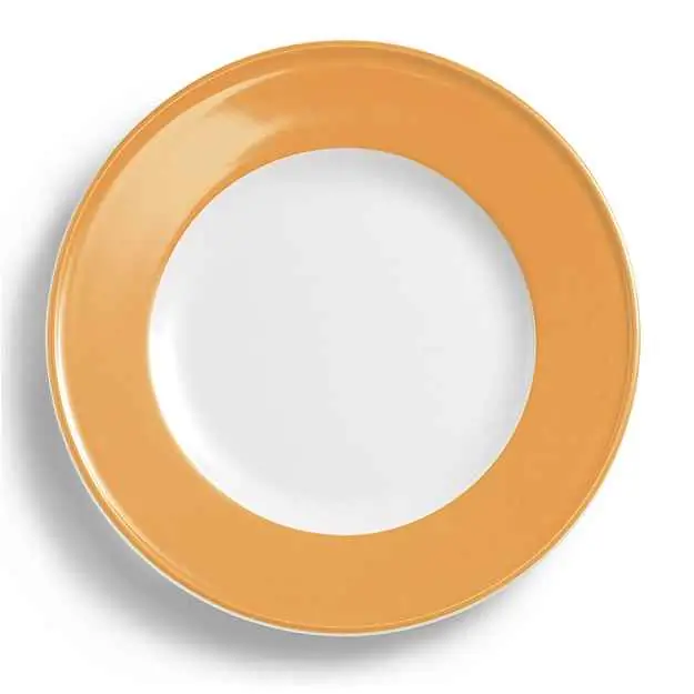 Dibbern Teller flach 26 cm Fahne BERNSTEIN Bild