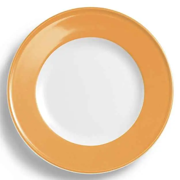 Dibbern Teller flach 28 cm Fahne BERNSTEIN Bild