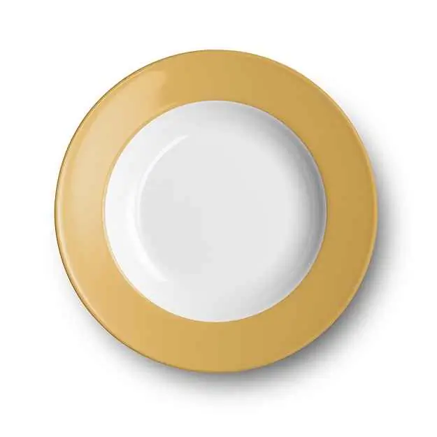 Dibbern Suppenteller 23 cm Fahne BERNSTEIN Bild