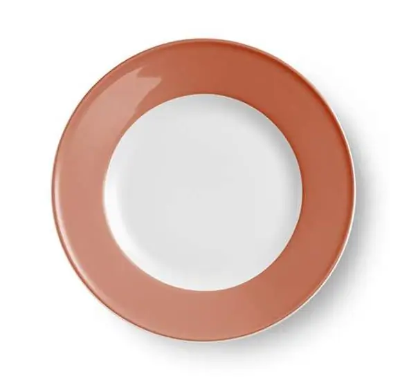 Dibbern Teller flach 21 cm fahne papaya Bild