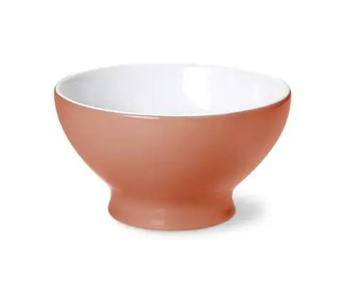 Dibbern Bol 0,50 l papaya Bild