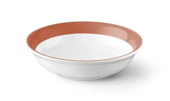 Dibbern Dessertschale 16 cm papaya Bild