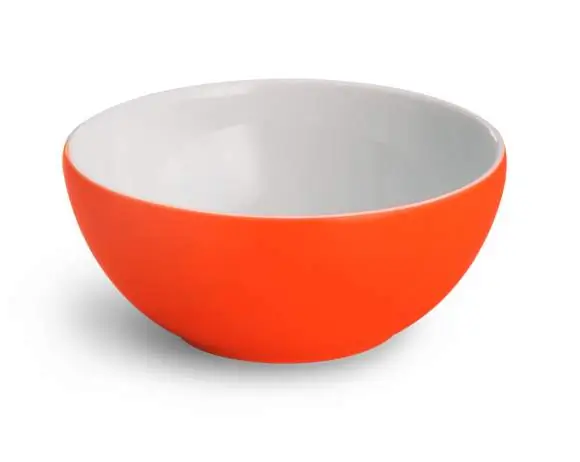 Dibbern Schale 0,85 l 17 cm koralle Bild