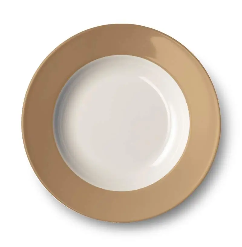 Dibbern Suppenteller 23 cm fahne clay Bild