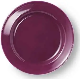 Dibbern Teller flach 19 cm VOLLDEKOR BORDEAUX Bild