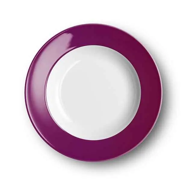 Dibbern Suppenteller 23 cm Fahne BORDEAUX Bild