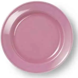 Dibbern Teller flach 19 cm VOLLDEKOR PINK Bild