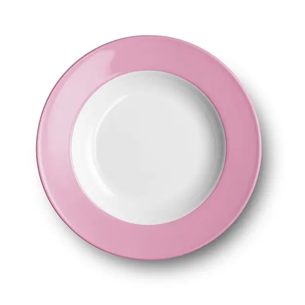 Dibbern Suppenteller 23 cm Fahne PINK Bild