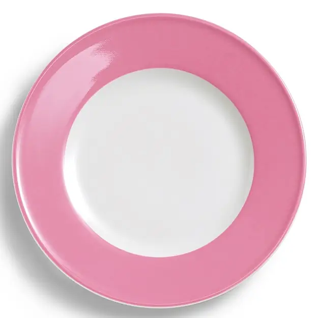 Dibbern Teller flach 28 cm Fahne PINK Bild