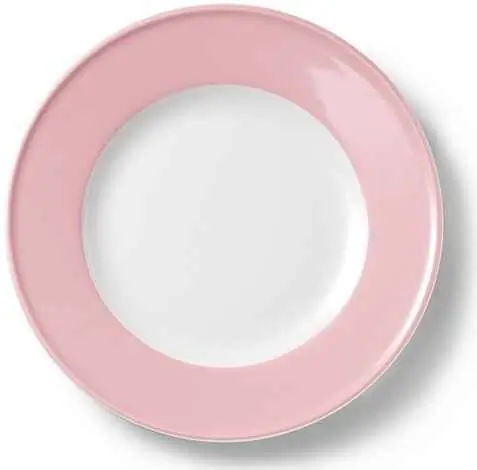 Dibbern Teller flach 21 cm Fahne ZARTROSA Bild