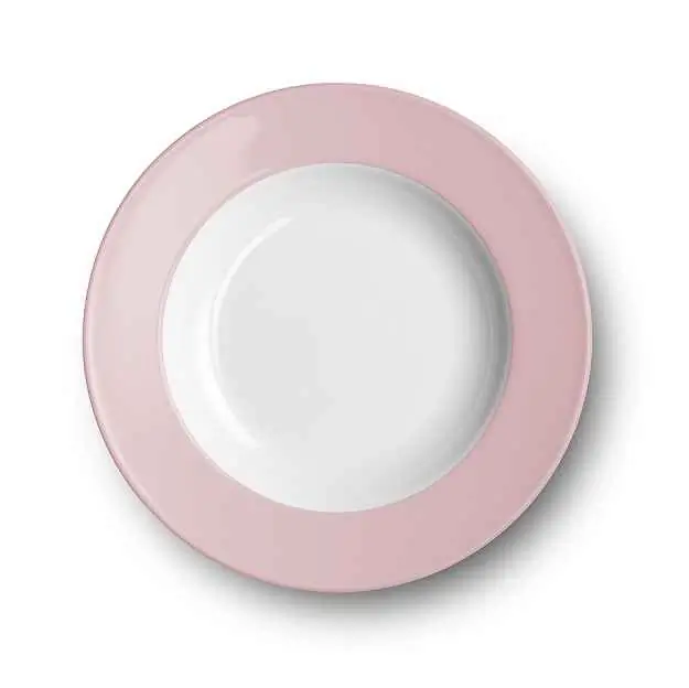 Dibbern Suppenteller 23 cm Fahne ZARTROSA Bild