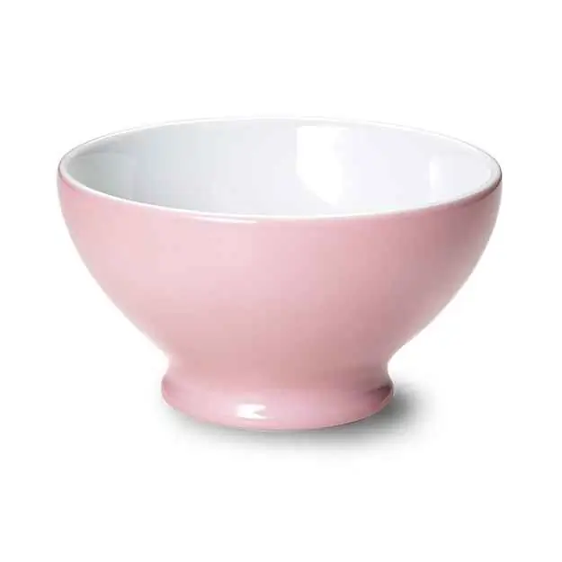 Dibbern Bol 0,50 L ZARTROSA Bild