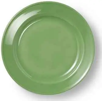 Dibbern Teller flach 19 cm VOLLDEKOR APFELGRÜN Bild