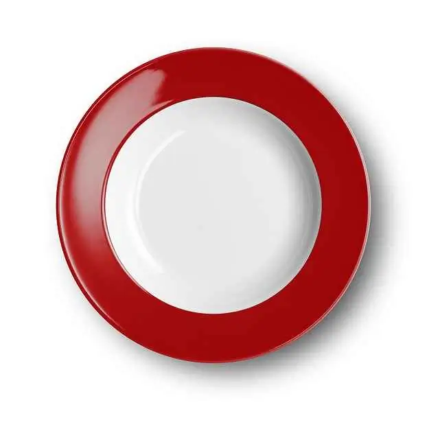 Dibbern Suppenteller 23 cm Fahne SIGNALROT Bild