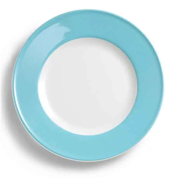 Dibbern Teller flach 26 cm Fahne HELLBLAU Bild