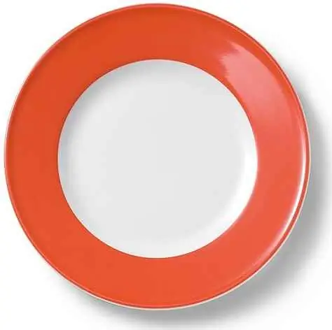 Dibbern Teller flach 21 cm Fahne KORALLE Bild