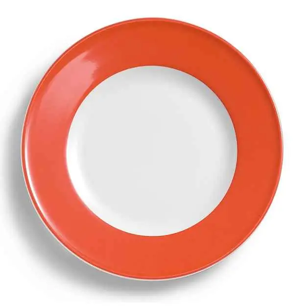 Dibbern Teller flach 26 cm Fahne KORALLE Bild