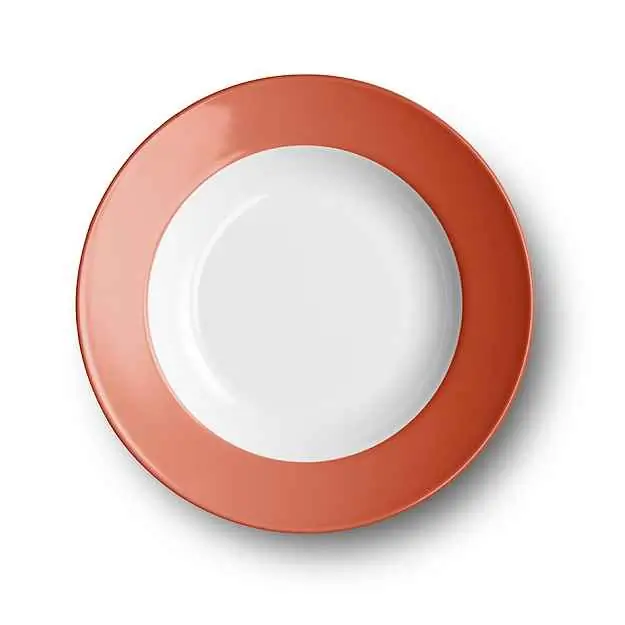 Dibbern Suppenteller 23 cm Fahne KORALLE Bild