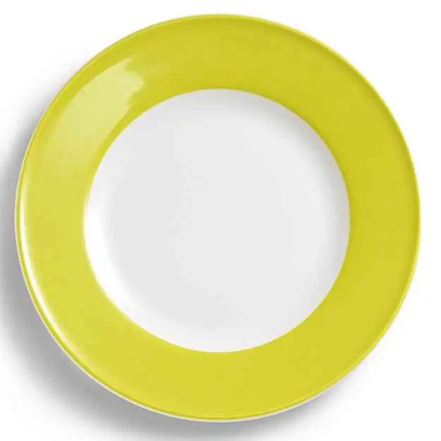 Dibbern Teller flach 28 cm Fahne LIMONE Bild