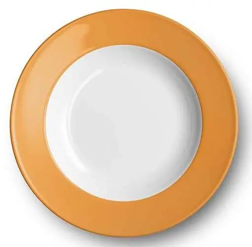 Dibbern Suppenteller 23 cm Fahne ORANGE Bild