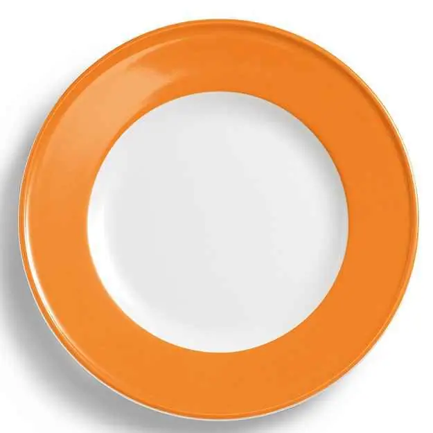 Dibbern Teller flach 28 cm Fahne ORANGE Bild