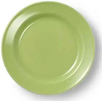 Dibbern Teller flach 19 cm VOLLDEKOR MAIGRÜN Bild