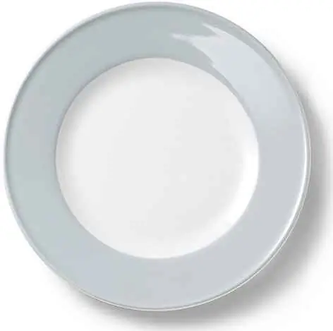 Dibbern Teller flach 21 cm Fahne LICHTGRAU Bild