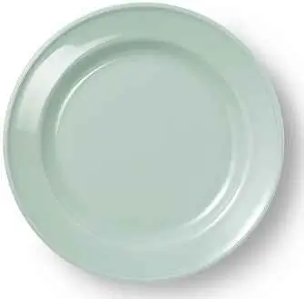 Dibbern Teller flach 19 cm VOLLDEKOR MINT Bild