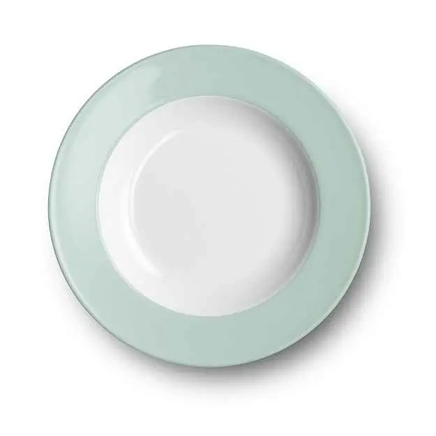 Dibbern Suppenteller 23 cm Fahne MINT Bild