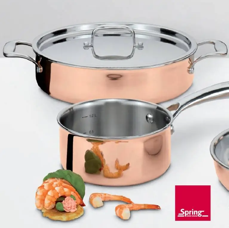 Spring Stielkasserrolle nieder Culinox mit Deckel 20 cm Bild 2