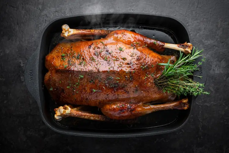 Woll EcoLogic Induktion Gussbräter 7,8 Liter Bild 2