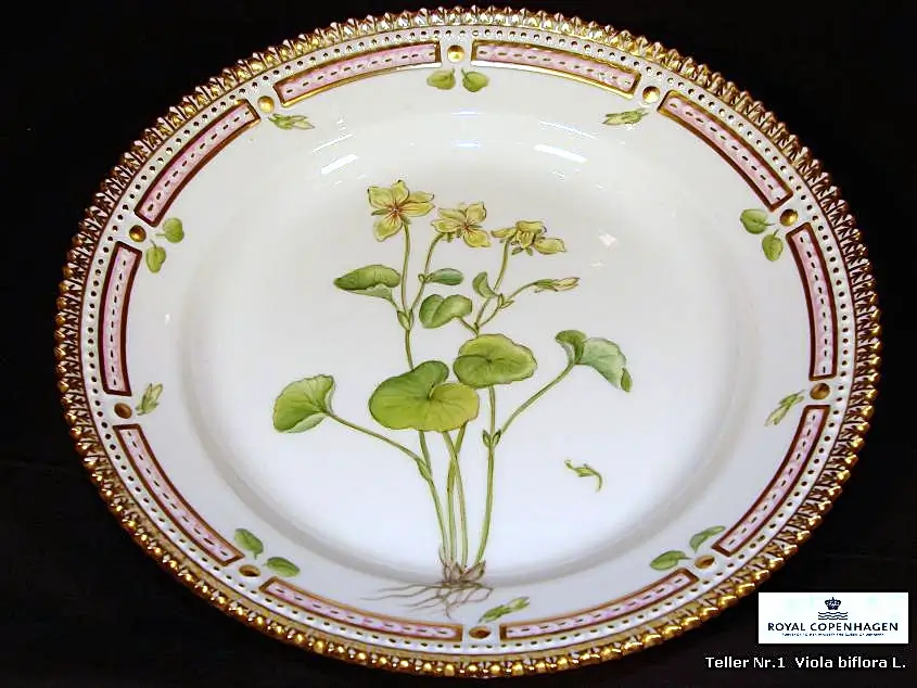 Royal Copenhagen Flora Danica Teller 19.5cm Nr.2 Rubus Chamaem. Li. Bild