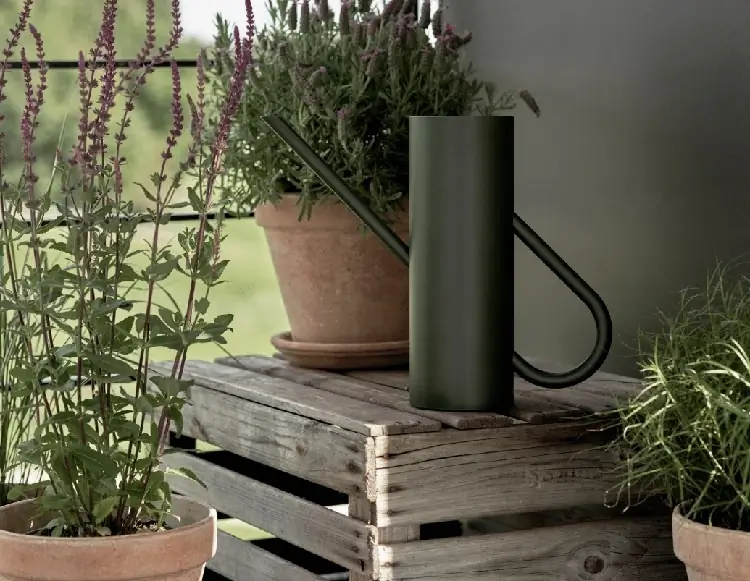 Stelton Bloom Blumengießkanne 2 ltr pine Bild 2