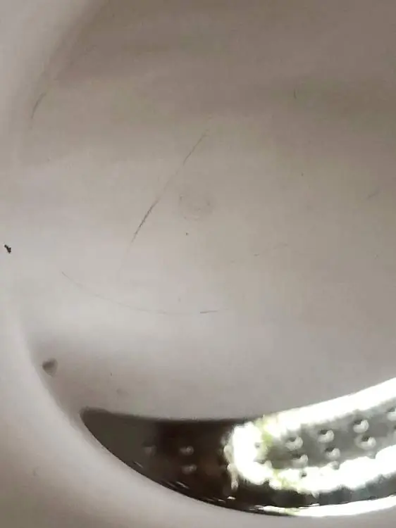 Alessi Schale Amfitheatrof FA02/21 Bild 2