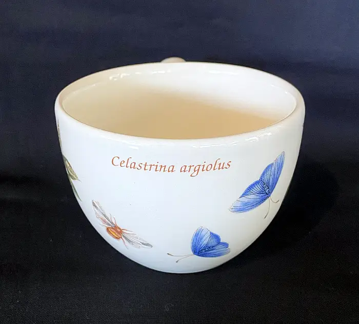 Wedgwood Sarahs Garden TeeObertasse Bild 2